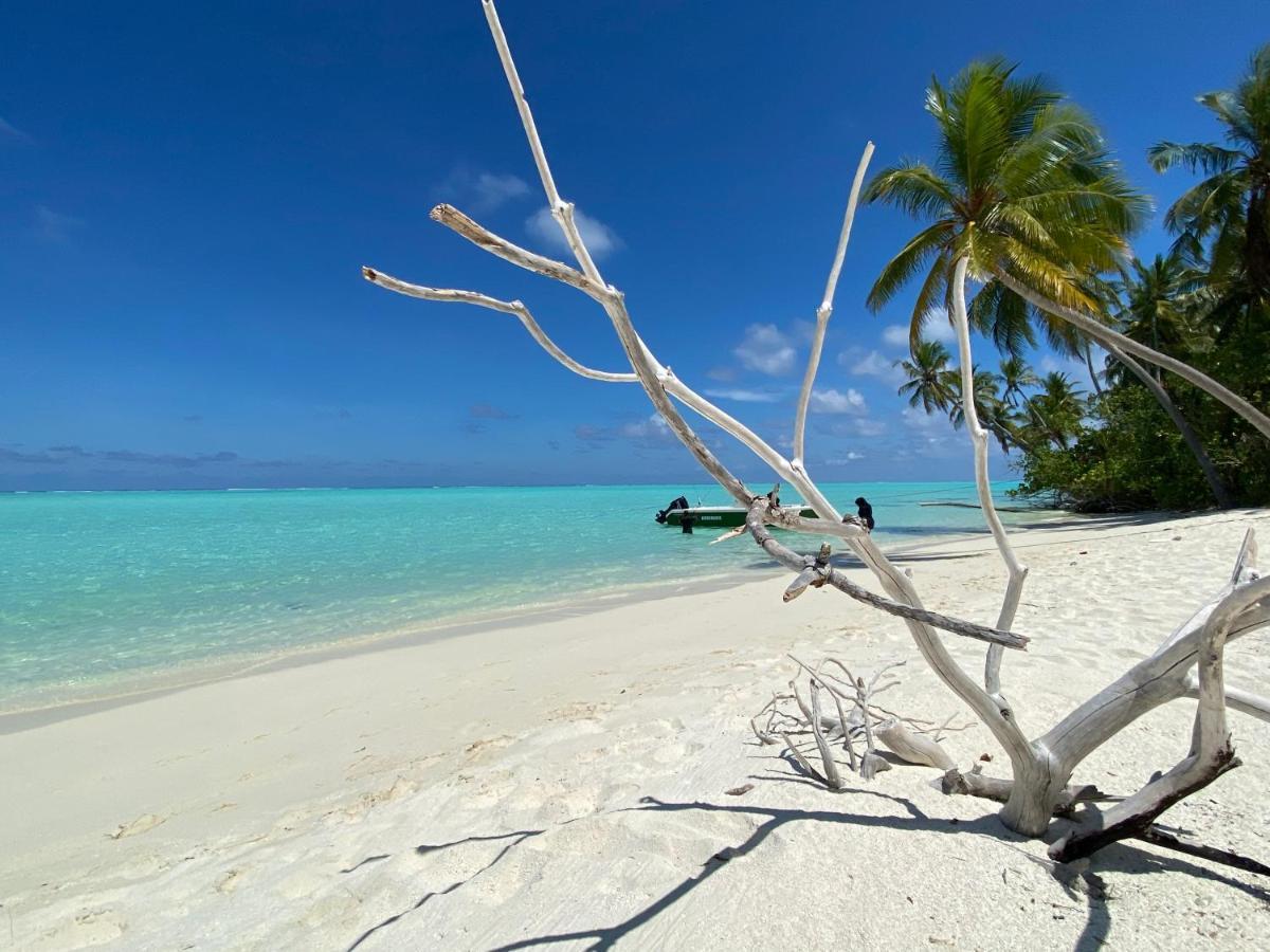 Alimas Holiday Retreat Maldives Đảo Đảo Felidhoo Ngoại thất bức ảnh