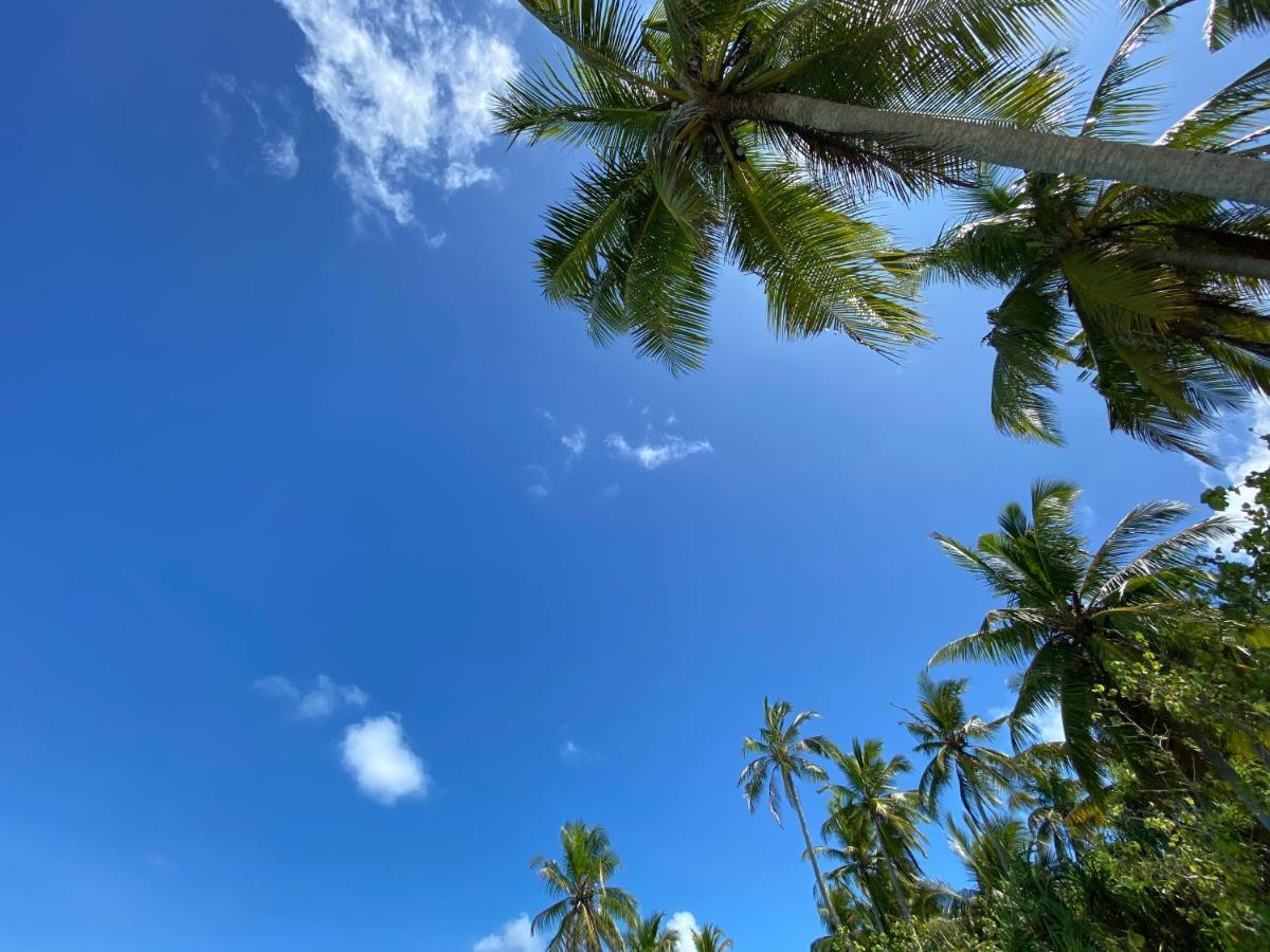 Alimas Holiday Retreat Maldives Đảo Đảo Felidhoo Ngoại thất bức ảnh