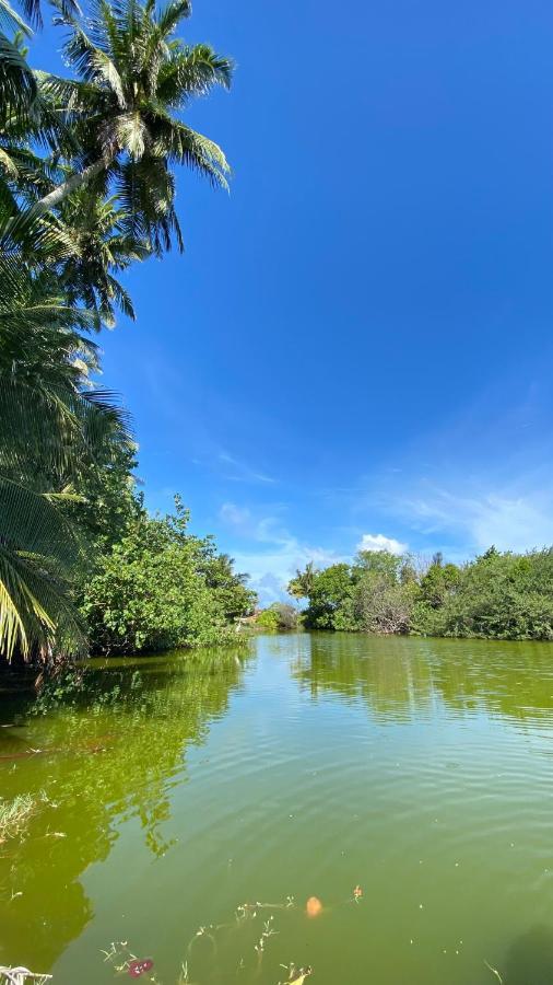 Alimas Holiday Retreat Maldives Đảo Đảo Felidhoo Ngoại thất bức ảnh