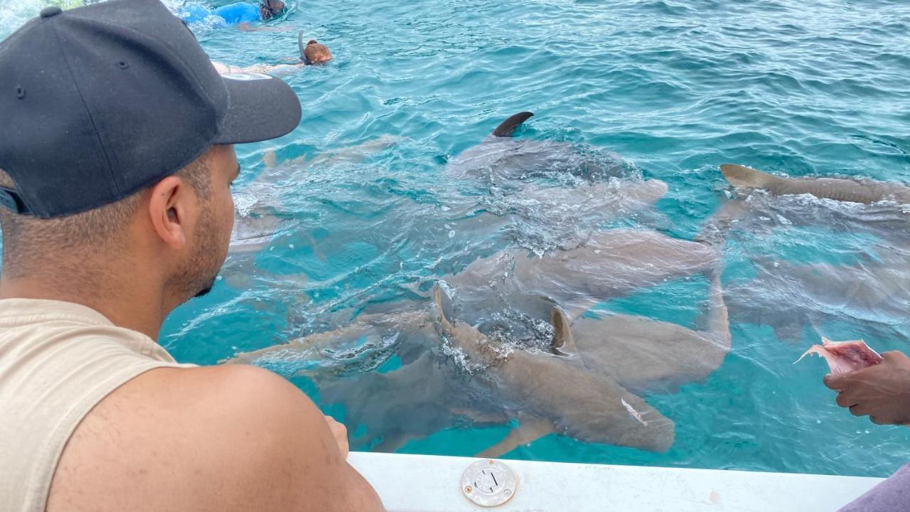 Alimas Holiday Retreat Maldives Đảo Đảo Felidhoo Ngoại thất bức ảnh