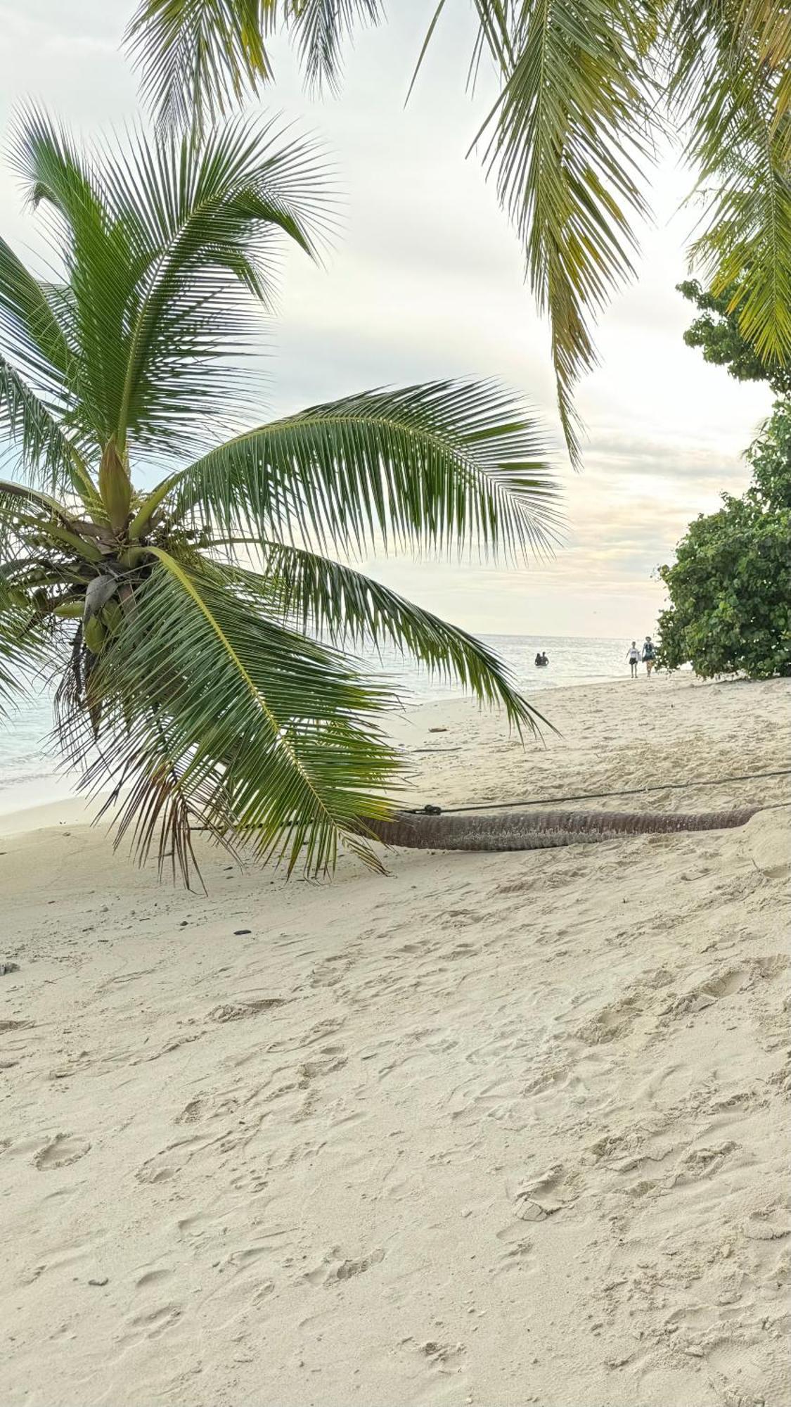 Alimas Holiday Retreat Maldives Đảo Đảo Felidhoo Ngoại thất bức ảnh